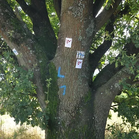 2-zimmer Mit Terrasse, Fernblick, Natur, Ruhig - *