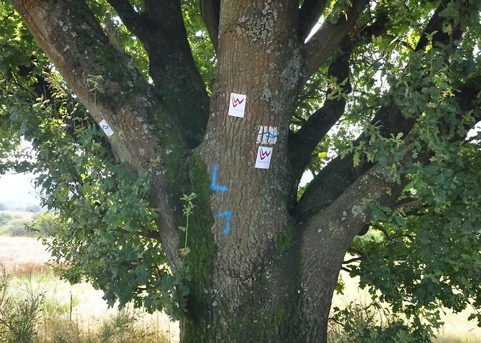 2-zimmer Mit Terrasse, Fernblick, Natur, Ruhig - *